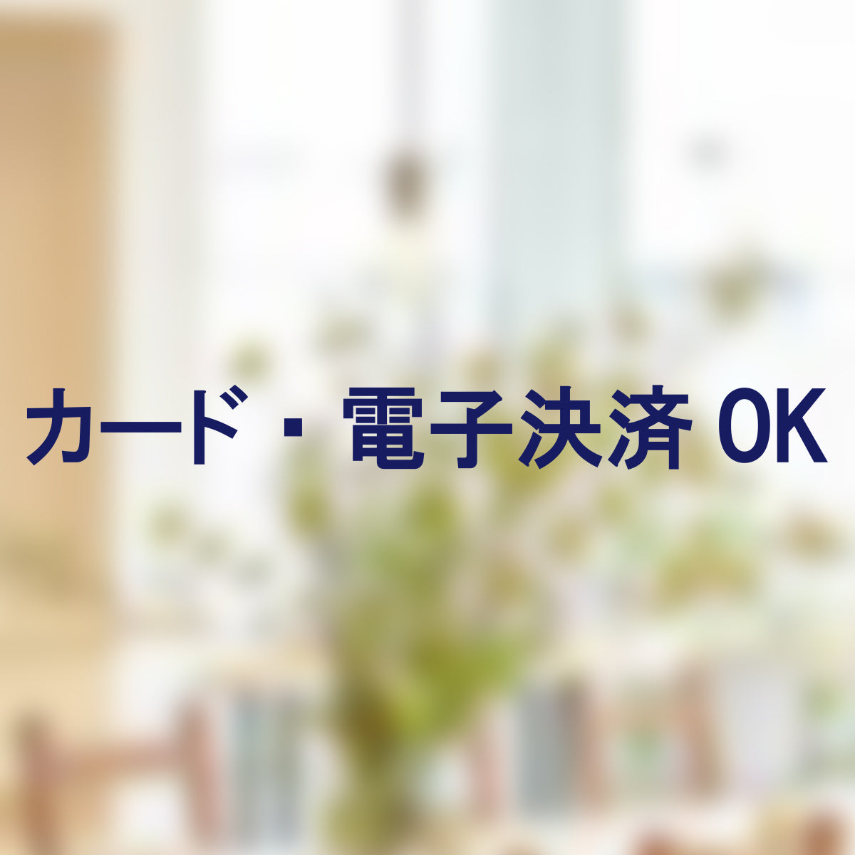決済方法案内ステッカー cas-009-001